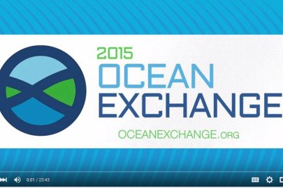 Screenshot of the 2015 Ocean Exchange branding.