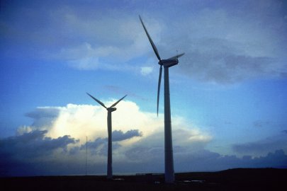 Two wind turbines in a field.