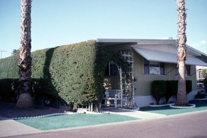 Landscaping for Shade