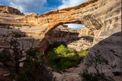 Renewing Our National Parks