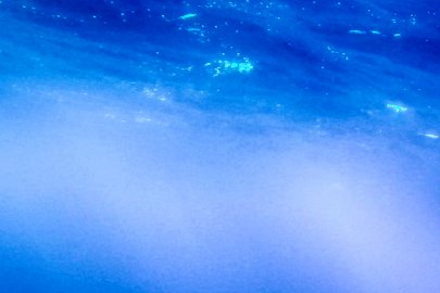 Ocean research at Lawrence Berkley National lab 
