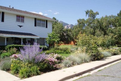 Landscaping for Water Conservation