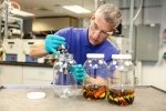 Scientist placing a mechanism into one of three clear jars. 