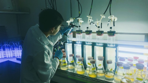 Sampling a Bioreactor