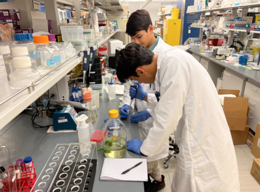 Ashwin and Rohan working in the lab