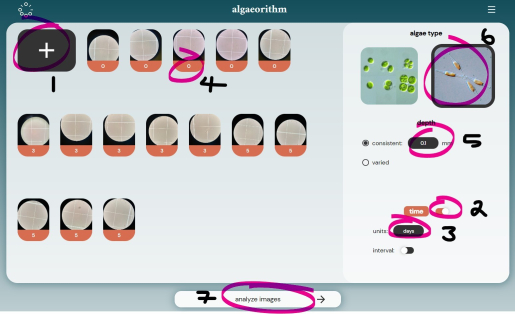Algaeorithm new input page
