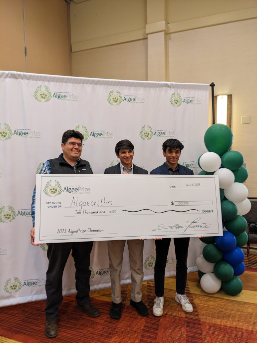 Day3 algaeorithm winning team check