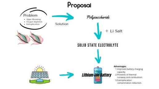Algae research for Team Fito Energy