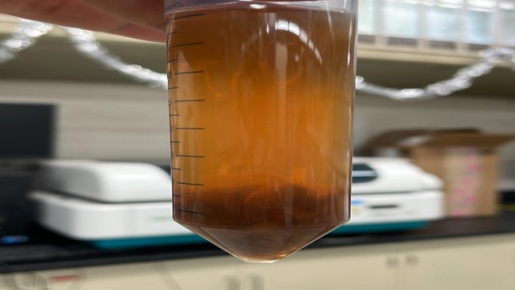 Algae research for Team Fito Energy