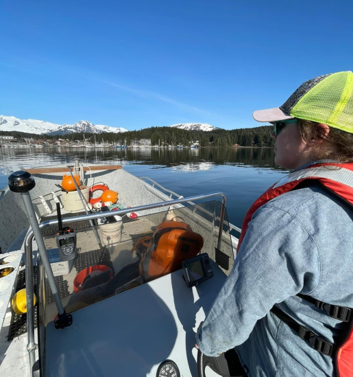 Algae research for Team Kelp! I Need Some Algae