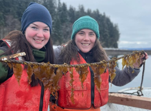 Kelp! I Need Some Algae Team