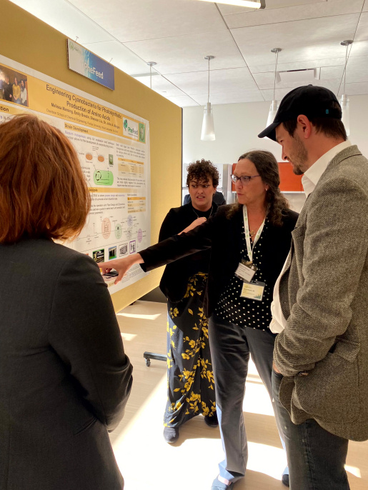 PheFeed Team Discussing Poster