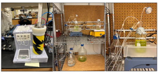 Photobioreactors set up
