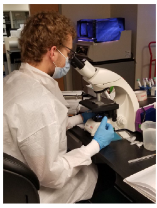 Mitchell counting algae