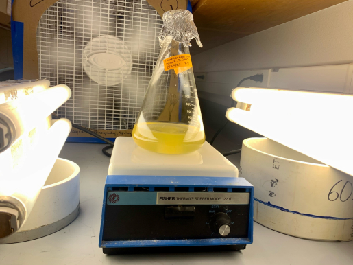 Algae research for the Pond Doctor’s Team