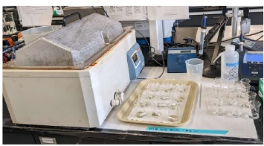 Extraction set-up