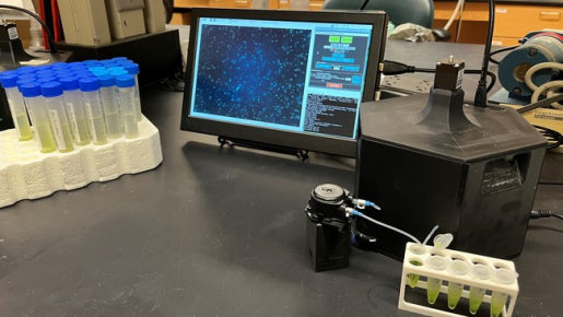 Algae research for Team PhycoSight Team