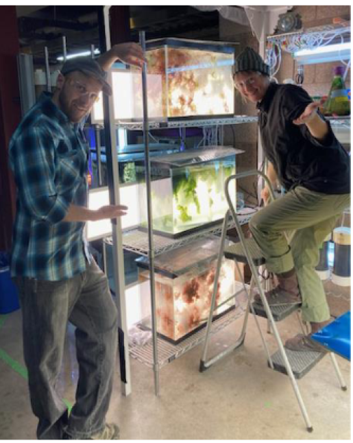 Underground Ocean Farmers Team