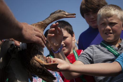 Middle school students observing waterfowl at STEM event.