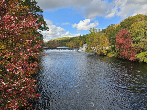 View downriver from the Albion hydropower dam