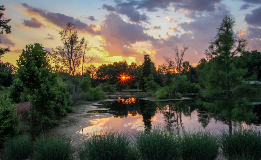 Photo Winner, Category – Comprehensive “The Beauty of Mother Nature”  Krikor Yemenjian, Savannah River Site