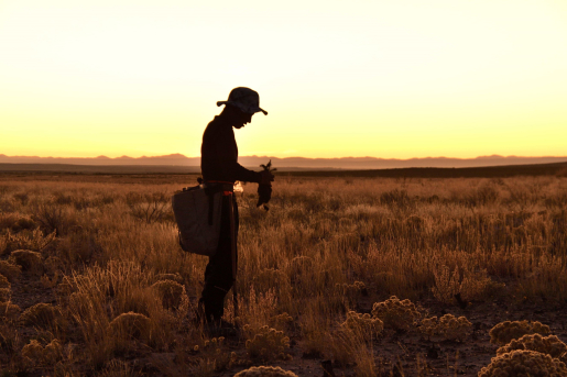 Photo Winner, Category – Conservation “2022 Telegraph Sagebrush Seedling Planting” Kristin Kaser, Idaho National Laboratory