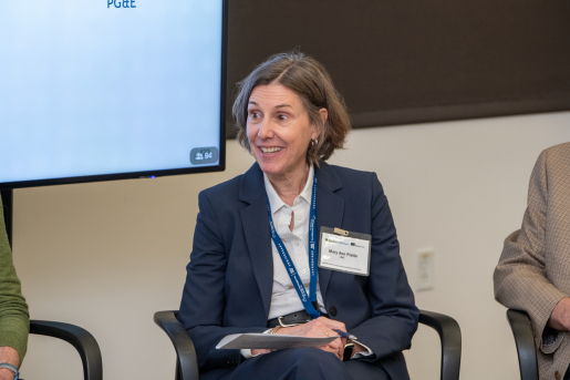 Mary Ann Piette from LBNL sitting in a circle at the Frontiers in Energy Storage panel presentation.