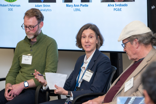 Mary Ann Pietta speaks during the panel presentation on markets and deployment at the Frontiers in Energy Storage workshop.