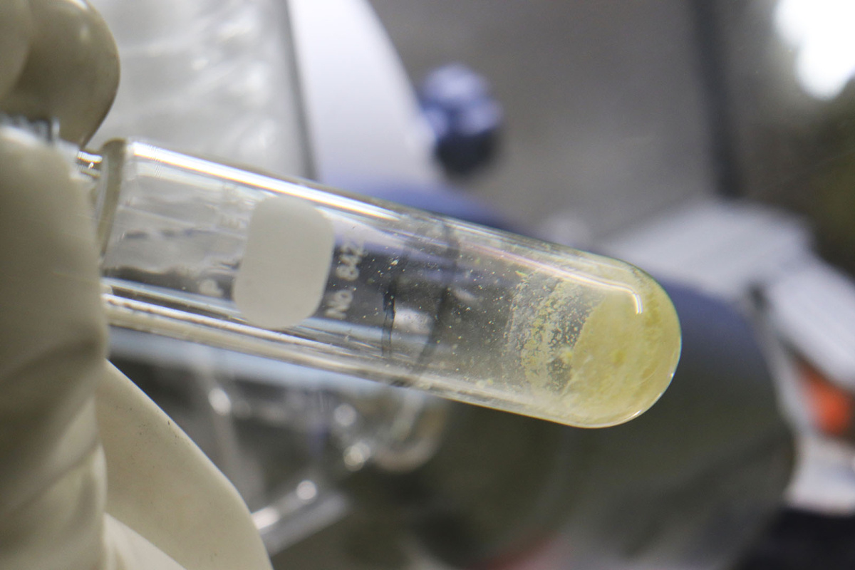 Up close view of a test tube with a yellowish white material inside of it
