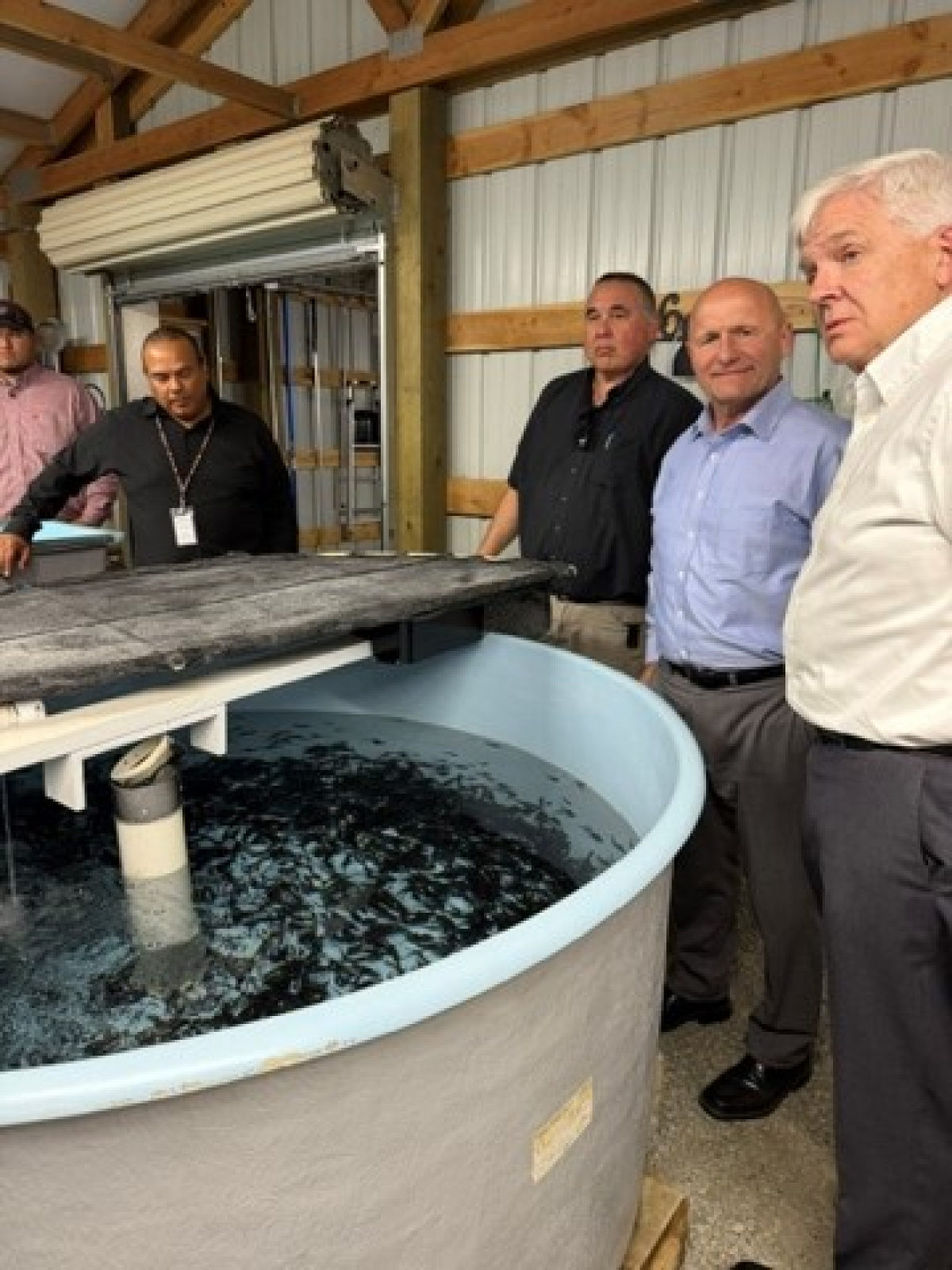 Professionals taking a tour of a site a viewing an outdoor fish tank with sturgeon in it