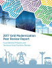 GMI Peer Review Report 2017 Front Cover Icon