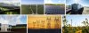 Transmission lines across grassy plains