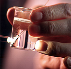 Another promising option for the long term is photoelectrolysis. Here, light shining on a photoelectrochemical cell immersed in water produces bubbles of hydrogen and oxygen.Credit: Richard Peterson Photo of hydrogen beam generated from PV cell