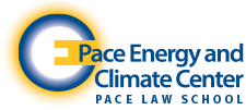 Pace Logo.png