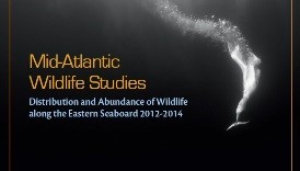 WWPTO 6.jpg