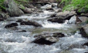 WWPTO 9.jpg