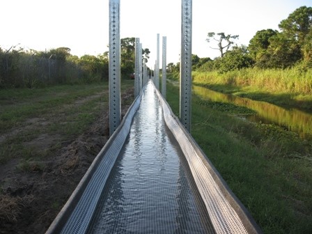 Cleaning up nutrients from surface waters while growing biomass for biofuel production. Photos courtesy Sandia National Laborato