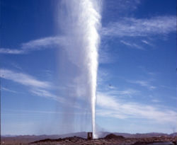 Image of the Bradys field.