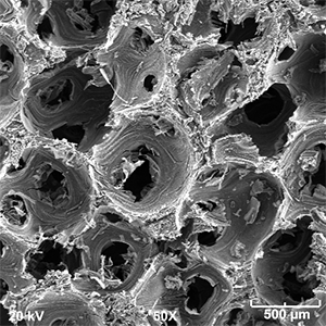 Microstructure of the highly thermal conductive foam that will be used for the prototype TES system.<br /><em>Image from ANL</em> Photo of a black and white porous material magnified 50 times by a microscope.