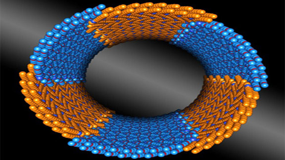 Scientists from DOE's Lawrence Berkeley National Laboratory discovered a family of synthetic polymers that self-assemble into nanotubes with consistent diameters.