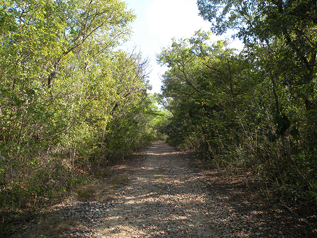  Shifts in Biomass and Productivity