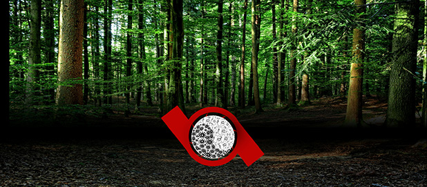 Underappreciated Microbes Now Get Credit for Holding Down Two Jobs in Soil