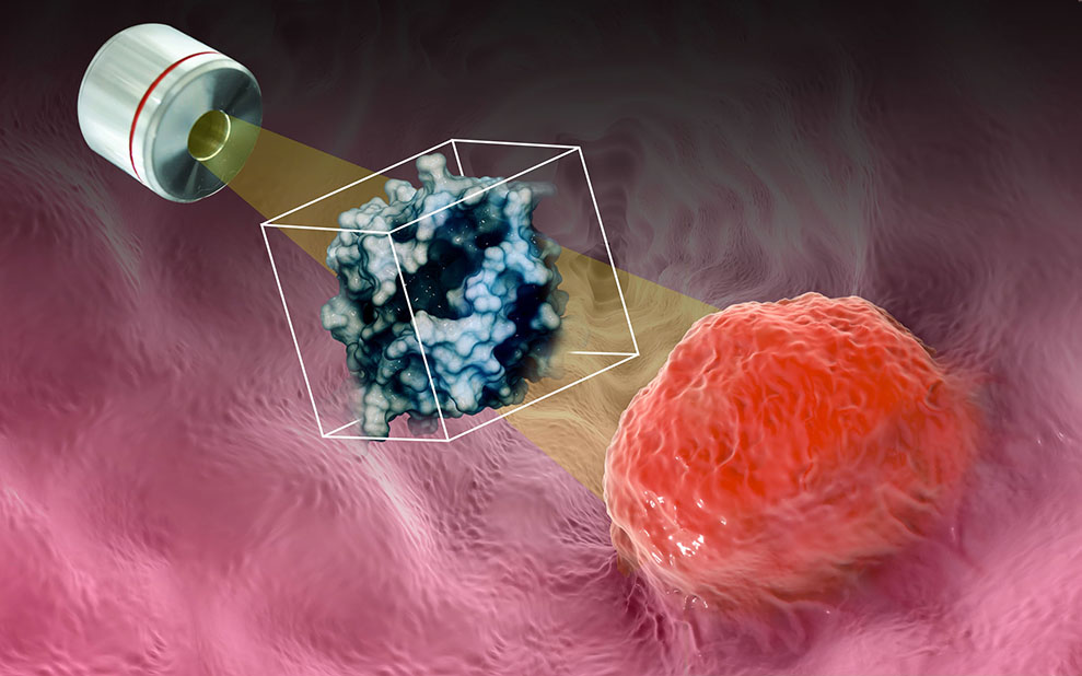New Technology Consistently Identifies Proteins from a Dozen Cells