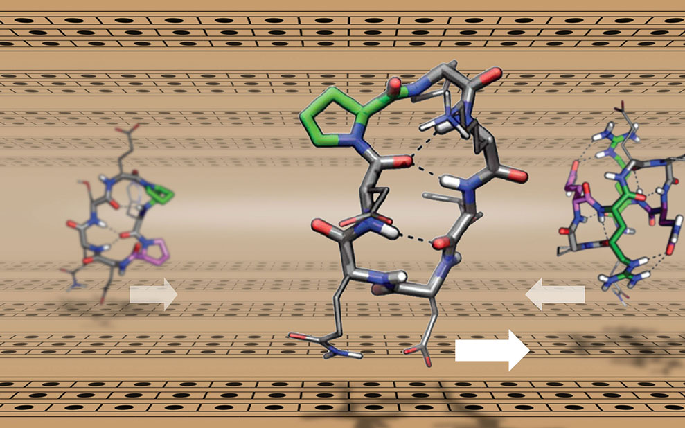 More Designer Peptides, More Possibilities