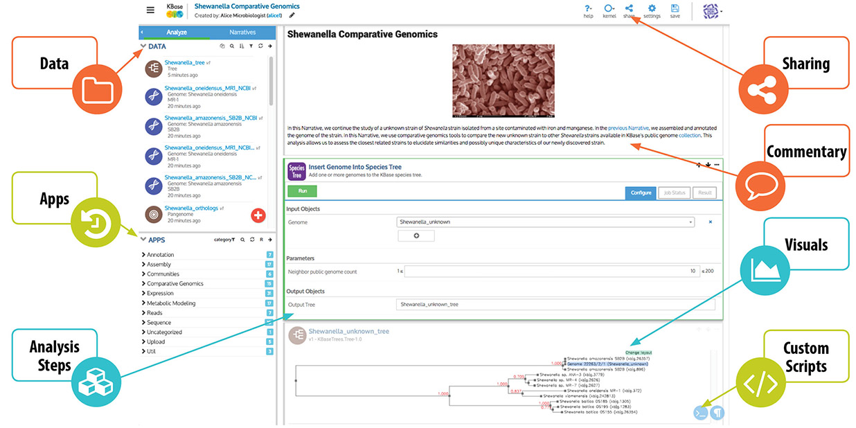 KBase: The Department of Energy Systems Biology Knowledgebase
