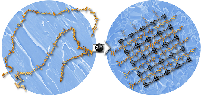 Novel Porous Materials