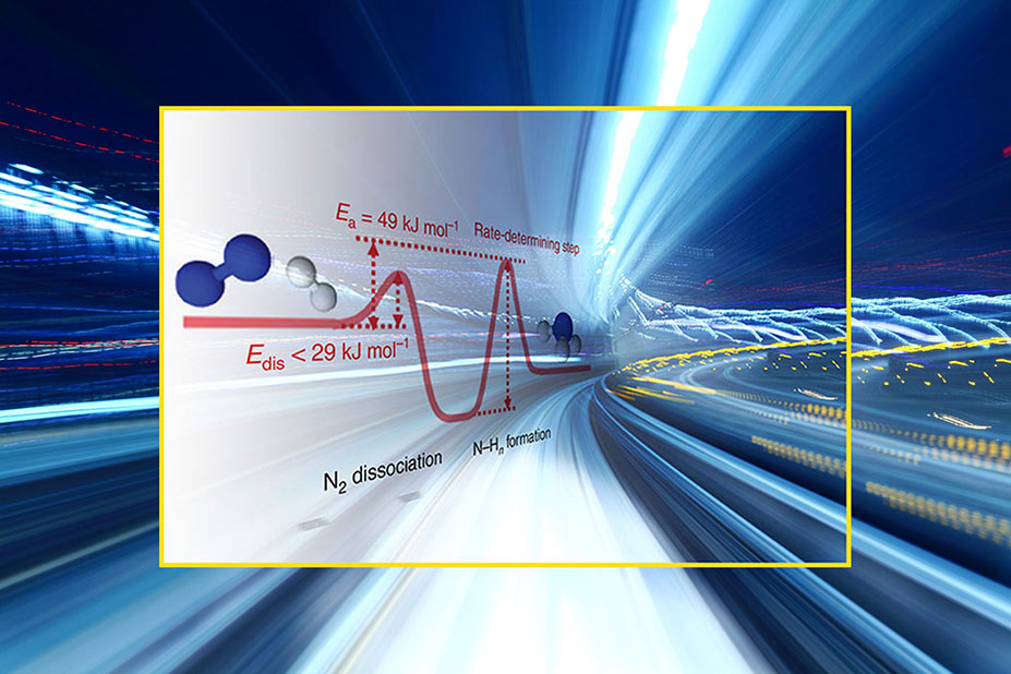 Review Examines the Science and Needs of Nitrogen-Based Transformations