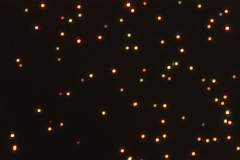 Quickly Capture Tiny Particles Reacting