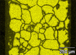 SEM-EDS image showing Cr depletion at grain boundaries in Incoloy, a common high-temperature corrosion mechanism in molten salts. <em>Image from SRNL</em> Image of a yellow strip with dark lines throughout.