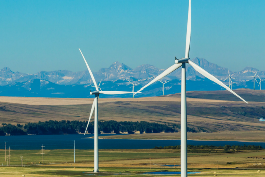windmill companies